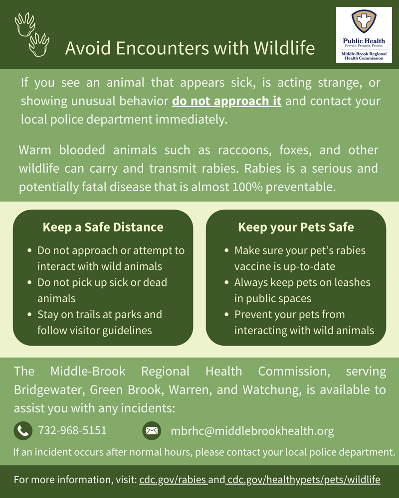 Click here to read an OCR scanned PDF of how to avoid encounters with wildlife.