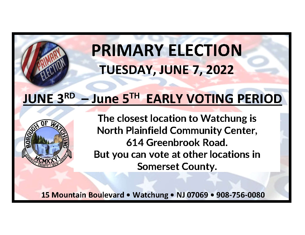 EARLY VOTING PERIOD PRIMARY