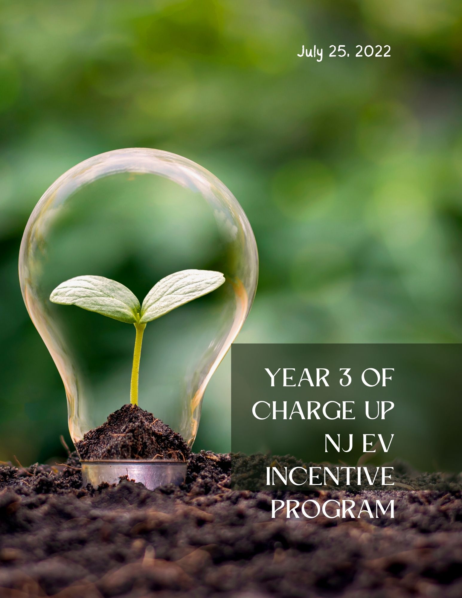 EV Incentive Program
