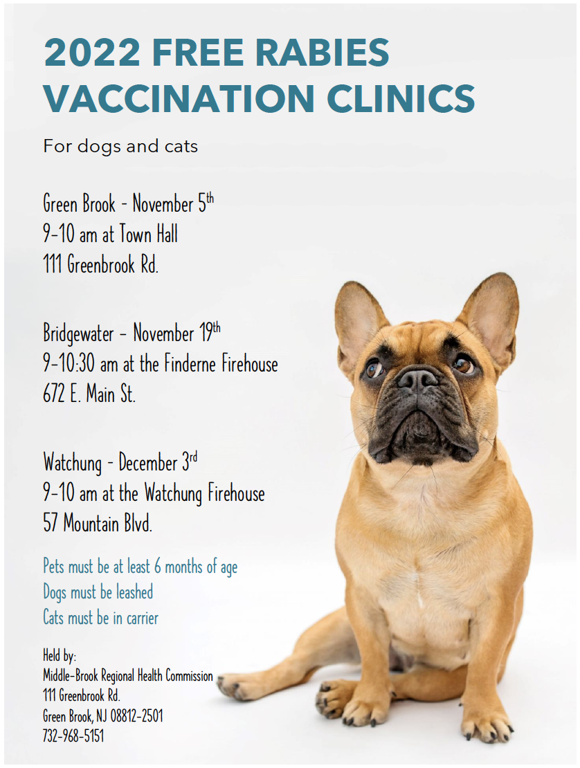 rabies clinic flyer