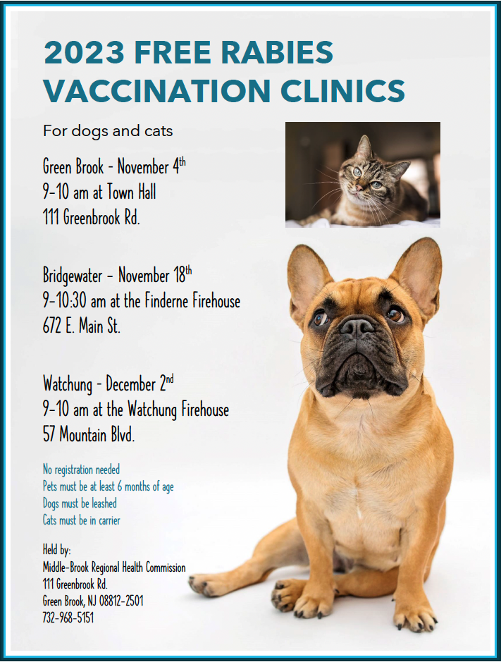 Free Rabies Clinic Flyer